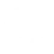 Feature | Branded Subdomains
